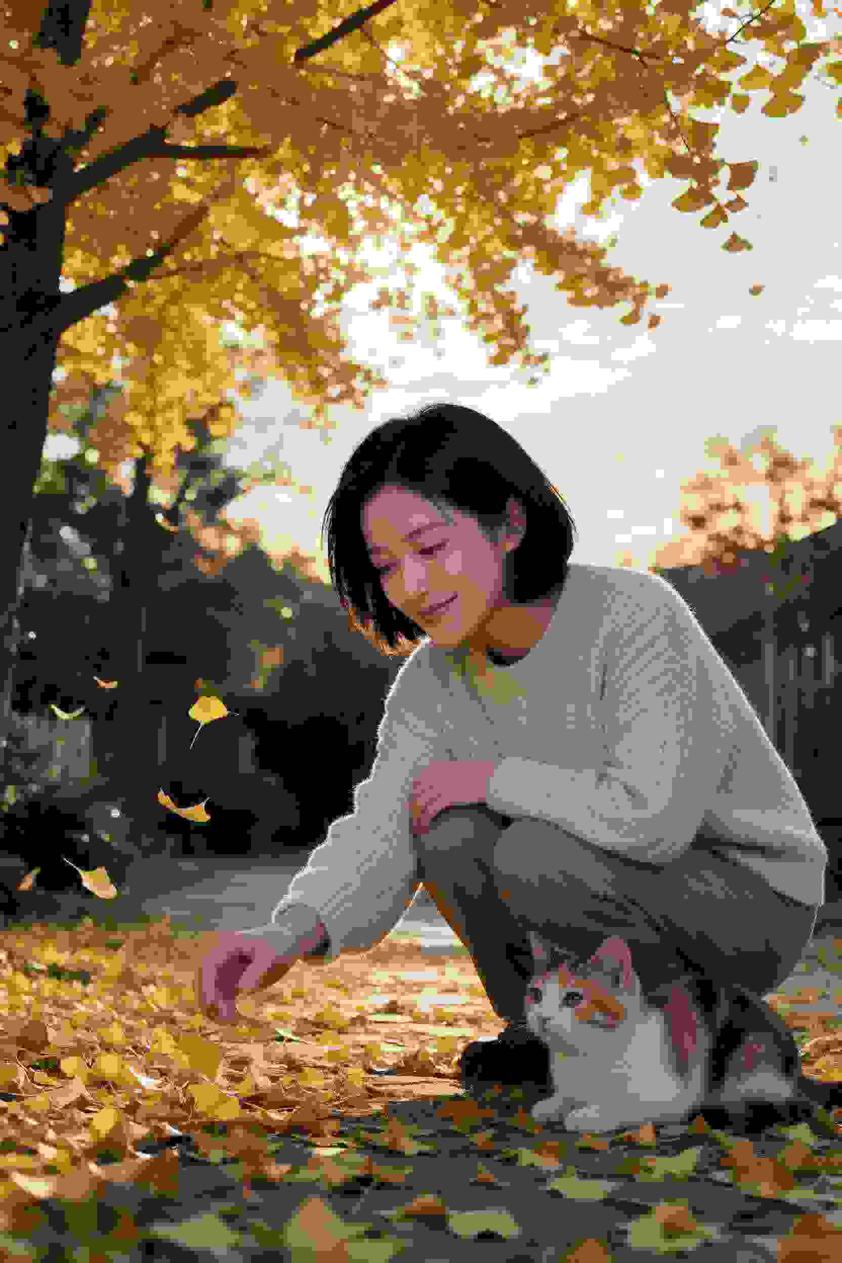 霸道总裁的秘密婚约